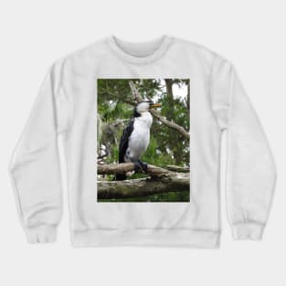 Little Pied Cormorant Crewneck Sweatshirt